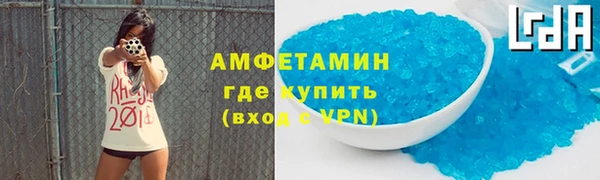прущие грибы Баксан