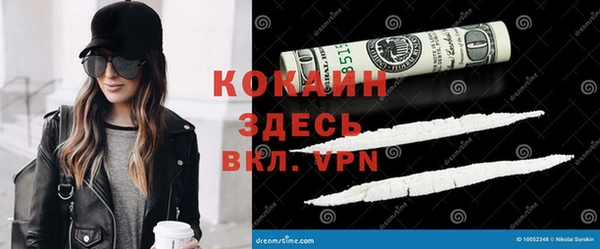 прущие грибы Баксан
