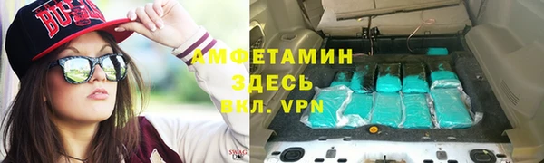 прущие грибы Баксан