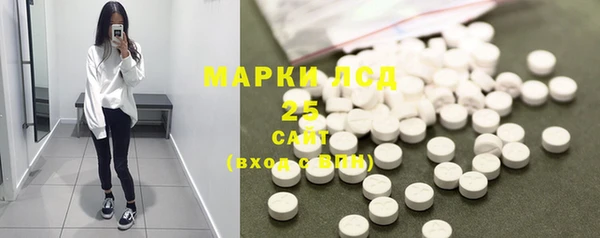 прущие грибы Баксан