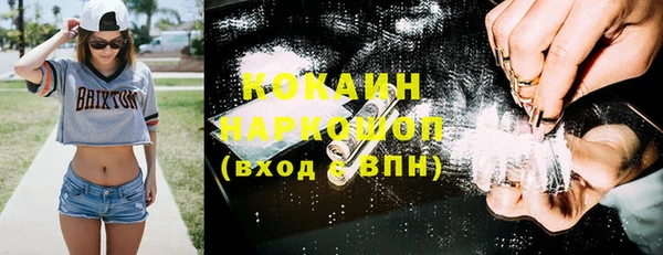 прущие грибы Баксан