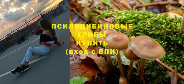 apvp Балабаново