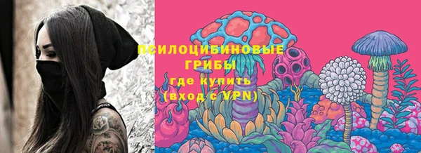 прущие грибы Баксан