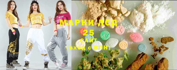 прущие грибы Баксан