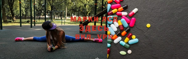 прущие грибы Баксан