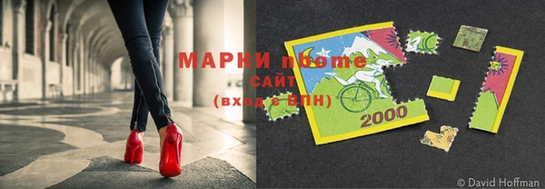 прущие грибы Баксан