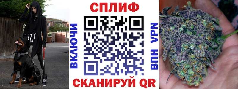 закладка Великий Устюг Канабис White Widow